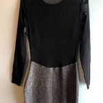 EXPRESS Sparkle Mesh Bodycon Dress Photo 1