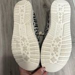 Hey Dude Cheetah Photo 2