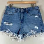 BLANK NYC  The Barrow Vintage Hi Rise Shorts Photo 1