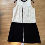 Ann Taylor  Loft Ivory Embroidered Floral Black Color Block Shift Dress size medi Photo 5
