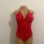 Swiswim  Poland One Piece Swimsuit for Women Tummy Control Bathing Suit Slimming Backless Photo 8