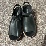 Antelope  Wedges Photo 2