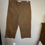 Ella Moss  Brown Wide-Leg Crop Chino Pants Photo 3