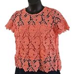 Liz Claiborne Women's Petite Large Coral Lace Short Sleeve Blouse Top NWOT Photo 2