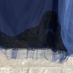 Rodarte Navy Lace Tulle Pleated Skirt Blue Size 2 Photo 3