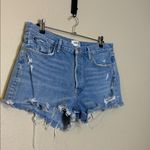 AGOLDE  Parker Vintage Cut-off Denim Short size 31 in Animate Wash Photo 4