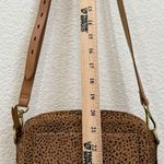 Madewell The Transport Camera Bag In Dotted Calf Hair Shoulder Crossbody Bag Photo 9