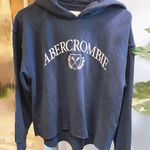 Abercrombie & Fitch AF Hooded Hoodie Sweatshirt Tennis Navy Color Photo 0