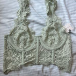 Anthropologie NWT Anthropolgie Giselle Lace Bustier Photo 0