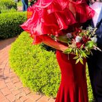 Ashley Lauren Prom Dress Photo 0