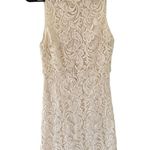 Alice + Olivia Ivory Lace Mini Dress Photo 0