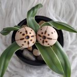 Handcrafted Wooden Wood Burned Round Clip On Earrings Photo 0