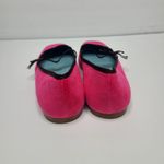 Frances Valentine Jude Mary Jane Velvet Pink Brown Ballet Flats Size 10B Photo 5