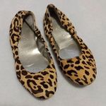 Audrey Brooke  "Lydia" Leopard Print Calf Hair Ballet Flats Photo 0