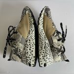 Steve Madden  Cliff Sneakers. Photo 14