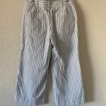 Madewell Emmett Wide-Leg Crop Pants in Stripe: Button-Front Edition Photo 8