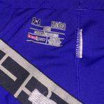 Under Armour Dark Purple Shorts Photo 2