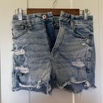 American Eagle Curvy Shorts Photo 0