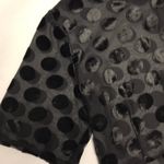 ZARA Textured Polka Dots Dress NWT Photo 7
