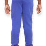 Nike Big Kids Purple Athletics Cozy Comfortable Joggers Club Fleece Photo 2