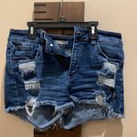 Denim Shorts Multiple Size L Photo 0