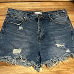 Articles of Society Denim Shorts Photo 0
