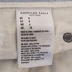 American Eagle  Striped Denim Cut-Off Shorts Size 6 Striped AEO Mom Shorts Photo 6