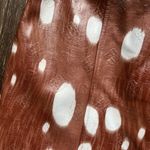 Rotate Herlina Dress Size 8 Photo 2