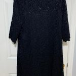 Dress Barn Plus size Lace Dress Photo 0