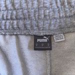 Puma  shorts  Photo 1