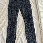 Amazon Leopard Print Leggings Photo 0
