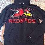 Champion Illinois State  Hoodie Photo 0