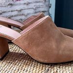 J.Crew Ashen Brown High Block Heel Suede Mules Women’s Size 9 Photo 2