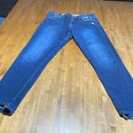 Vervet Pookie loves sebastian Flying Monkey 27 Photo 0