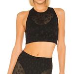 ADAM SELMAN Mesh Leopard Crop Top Black Photo 0