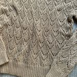 Absolutely Famous  Women's Tan‎ and Brown Sweater Size Small Photo 1