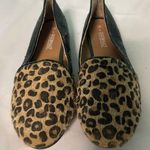 Dooballo Chettah With Glitter Black Flat Shoes‎ S Photo 0