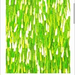 Neon Lime Green Party Dress Size 2 Photo 3