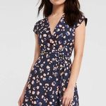 Hutch  Wrap Around Clara Leopard Dress Photo 0