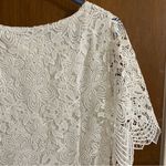 Anthropologie Charleston Lace Mini Dress Photo 4