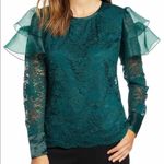 Rachel Parcell  Dark Green Botanical Floral Lace Flutter Sleeve Top NEW Photo 9