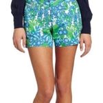Lilly Pulitzer Shorts Callahan Shorts size 10 Bee in Your Bonnet Print Photo 1