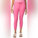 Bandier  x Sincerely Jules Bright Rose The Juniper Jogger Photo 3