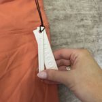 Paragon Fitwear Paragon Reluna shorts size xl bnwt Photo 2