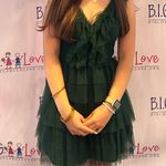 Dillard's Green Lace  Dress Photo 0