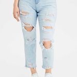 American Eagle Curvy Mom Jean Photo 0