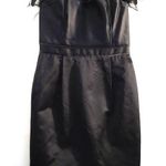 Carolina Herrera Rooster Feather Top Strapless Silk Blend Sheath Dress Black 10 Photo 0