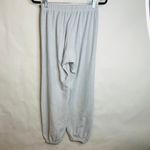Wildfox Pale Blue Fleece Joggers Sweatpants Loungewear Sz Medium Photo 5