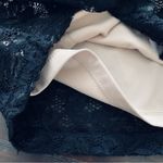 Forever 21  Black & Nude Lace Mini Pencil Skirt | Size: S Photo 2