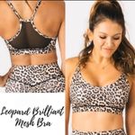 Zyia  Active Leopard Brilliant Mesh Bra & Leopard Brilliant Double Scrunch Shorts Photo 1